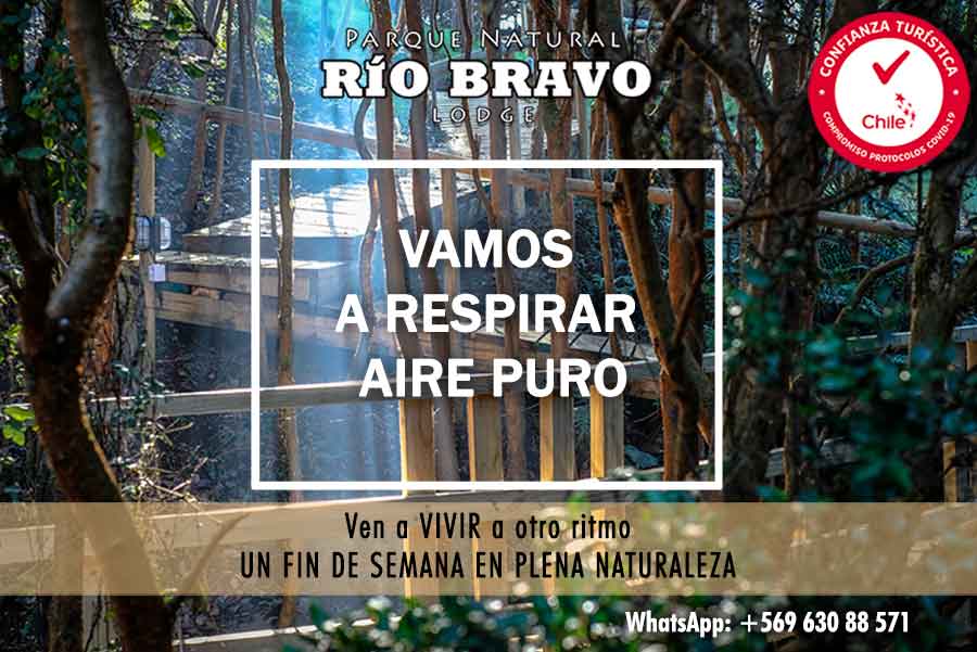 aire-puro2